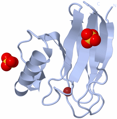 Image Biological Unit 1