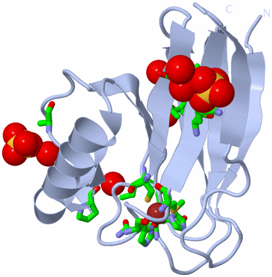 Image Biol. Unit 1 - sites