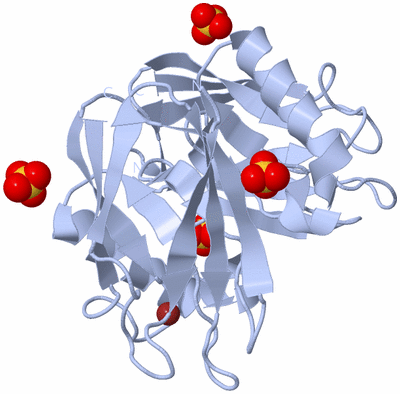 Image Biological Unit 2