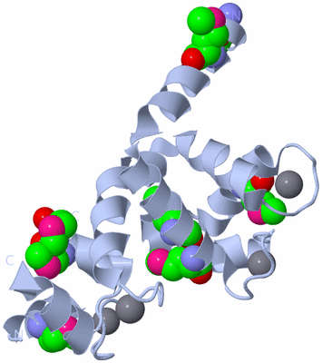 Image Biological Unit 1
