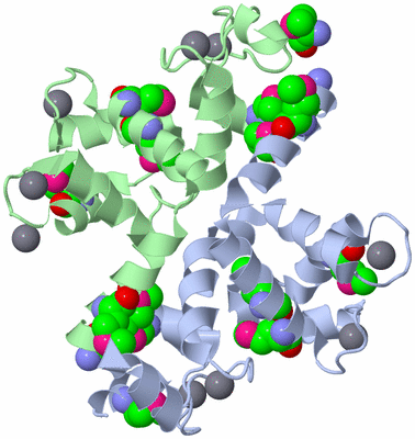 Image Biological Unit 3