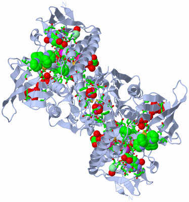 Image Biol. Unit 1 - sites