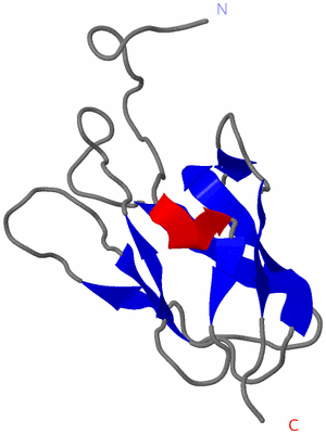 Image NMR Structure - model 1