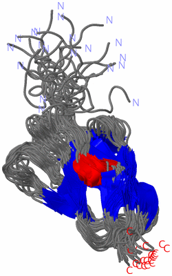 Image NMR Structure - all models