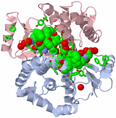 Image Asym./Biol. Unit - sites