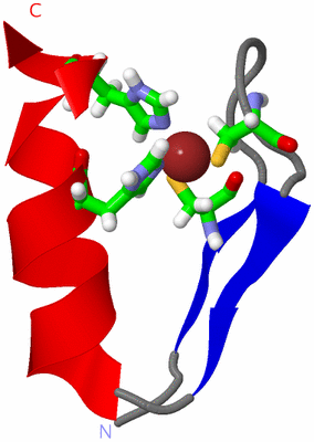 Image NMR Structure - model 1, sites