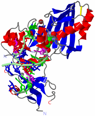 Image Asym./Biol. Unit