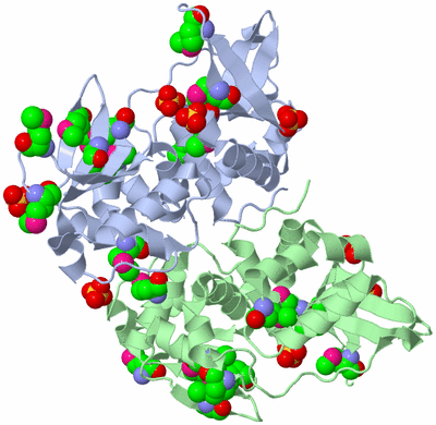 Image Asym./Biol. Unit
