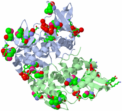 Image Asym./Biol. Unit - sites