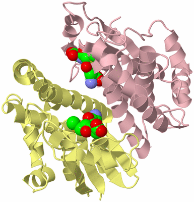 Image Biological Unit 2