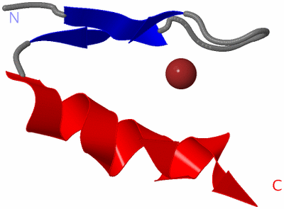 Image NMR Structure - model 1