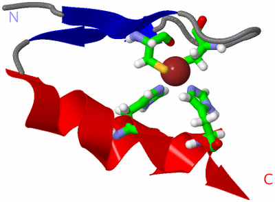 Image NMR Structure - model 1, sites