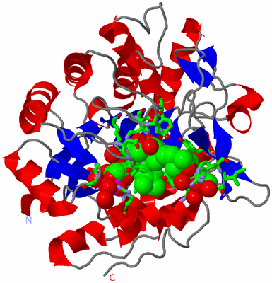 Image Asym./Biol. Unit - sites