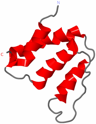 Image NMR Structure - model 1