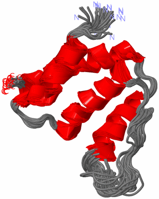 Image NMR Structure - all models