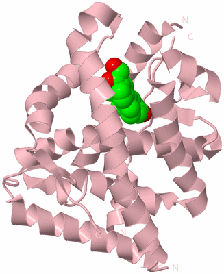 Image Biological Unit 3