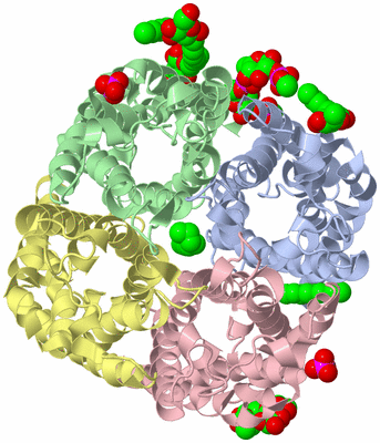 Image Biological Unit 1