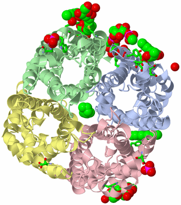 Image Biol. Unit 1 - sites