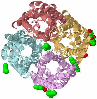 Image Biological Unit 2