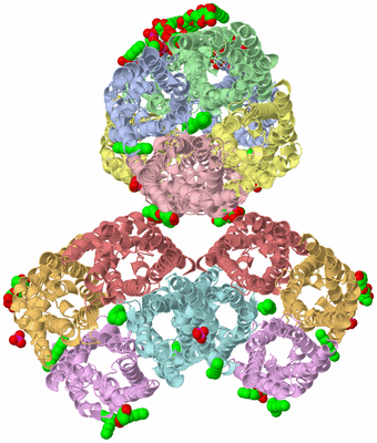 Image Biological Unit 3