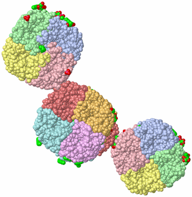 Image Biological Unit 4