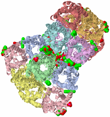 Image Biological Unit 5