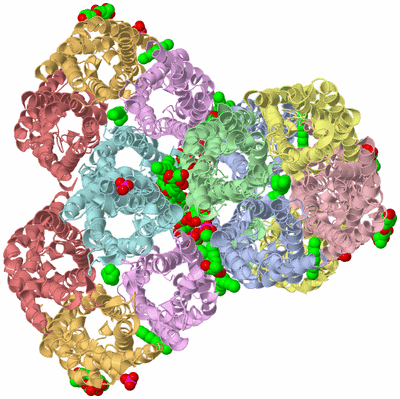 Image Biological Unit 6