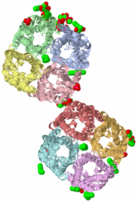 Image Biological Unit 7