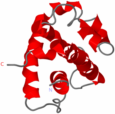 Image NMR Structure - model 1