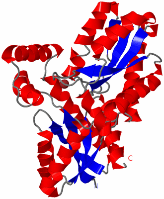 Image Asym./Biol. Unit