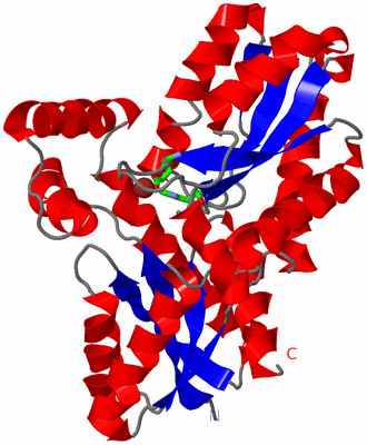 Image Asym./Biol. Unit - sites