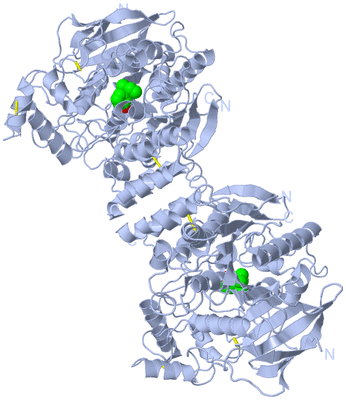 Image Biological Unit 1