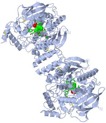 Image Biol. Unit 1 - sites