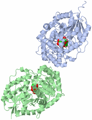 Image Asym./Biol. Unit