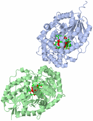 Image Asym./Biol. Unit - sites