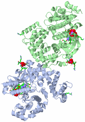 Image Asym./Biol. Unit - sites