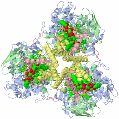 Image Biol. Unit 1 - sites