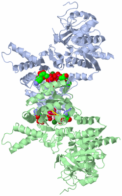 Image Asymmetric Unit