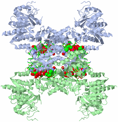 Image Biol. Unit 1 - sites