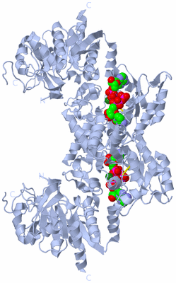 Image Biological Unit 2