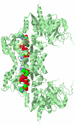 Image Biological Unit 3