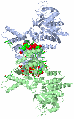 Image Asym. Unit - sites