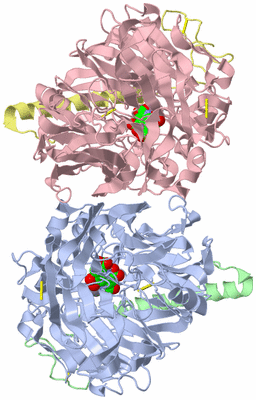 Image Asym./Biol. Unit