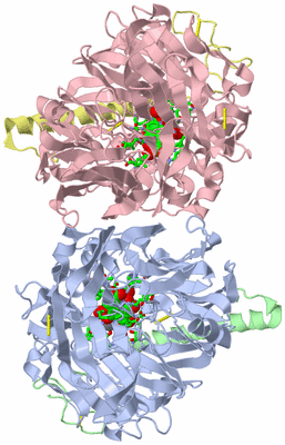 Image Asym./Biol. Unit - sites