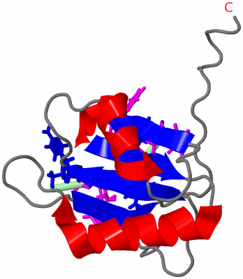 Image NMR Structure - model 1