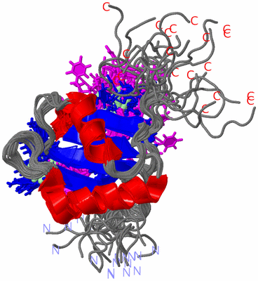 Image NMR Structure - all models