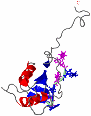 Image NMR Structure - model 1