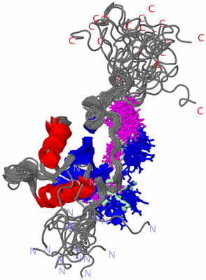 Image NMR Structure - all models