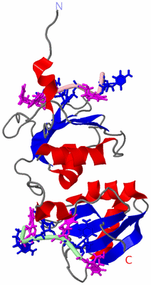 Image NMR Structure - model 1