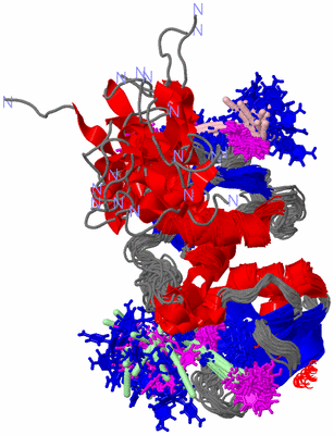 Image NMR Structure - all models